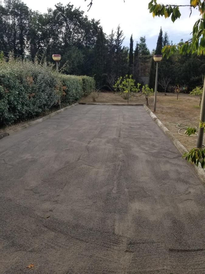 Au Mimosa -Gite Le Canigou Passa Экстерьер фото